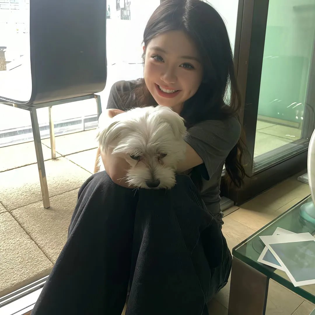 战帝的冰山美女老婆